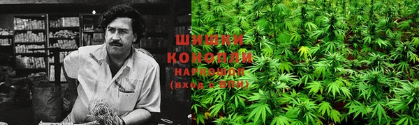 PSILOCYBIN Дрезна