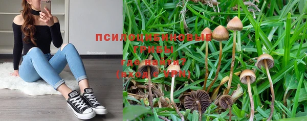 PSILOCYBIN Дрезна