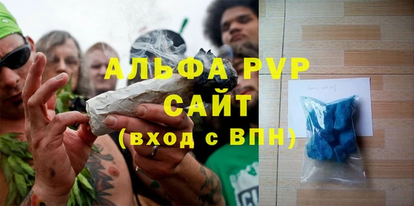 Альфа ПВП Дубна