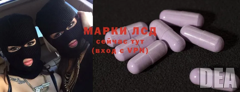 как найти наркотики  Канаш  Лсд 25 экстази ecstasy 