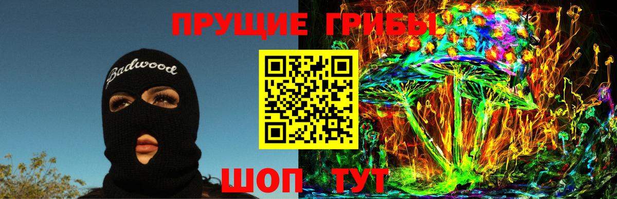 Псилоцибиновые грибы Psilocybe Канаш