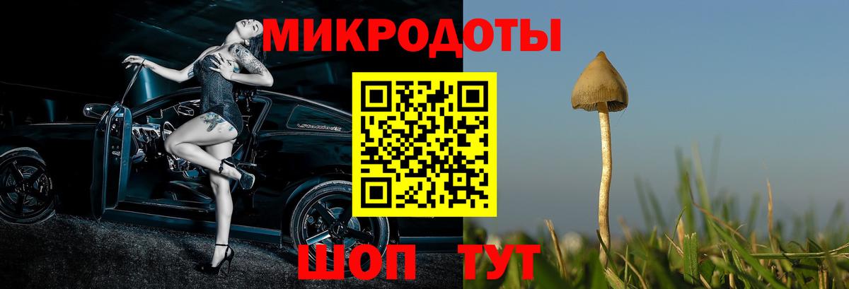 Канабис Канаш